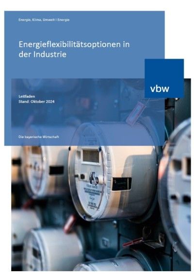 Energieflexibilitätsoptionen in der Industrie